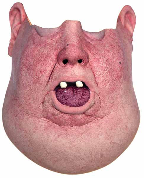 Tinsley Transfers No Neck Latex Half Mask