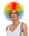 Rainbow Clown Wig
