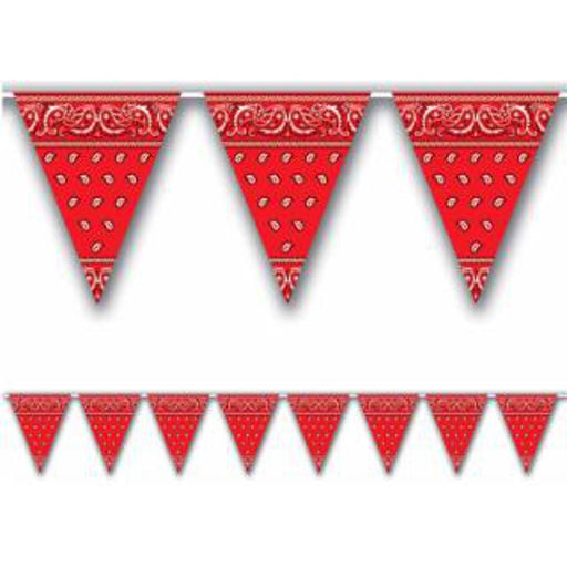 "Western-Inspired 10" X 12' Pennant Banner"