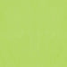 20"X24" CITRUS SOLID TISSUE (8PK/12CS)