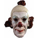 Circus Clown Mask with Hair