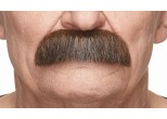 Brown and Red Costume Moustache, 10 x 3 cm