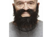 Black Costume Moustache and Beard