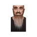 Black and Brown Beard, Mustache and Eyebrows Costume Set