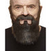 Thick Brown Moustache and Beard Costume Accessory