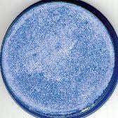 Snazaroo Sparkle Blue Face Paint, 18 ml