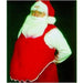 Adult Red Santa Belly Suit Stuffer Vest