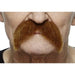 Auburn Costume Moustache, 11 cm x 6 cm