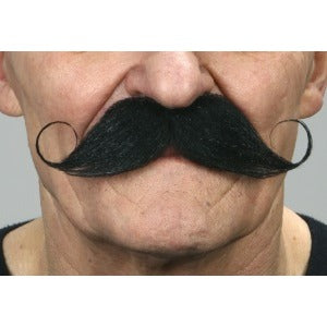 Black Curled Gentleman Moustache
