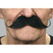 Black Curled Gentleman Moustache