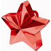 Red Star Balloon Weight, 170g