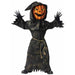 Bobble Head Pumpkin Child Costume, Large 12-14