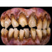 Trick or Treat Studios Zombie Teeth