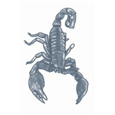 Tinsley Transfers Scorpion Prison Temporary Tattoo