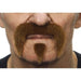 Auburn Costume Moustache Set, 10.5 x 7.5 cm