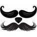 Stachetats Junior Bruno Stache
