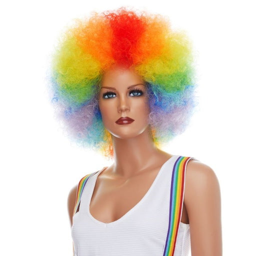 Rainbow Clown Wig