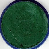 SNAZAROO 18ML CAKE DK GREEN #455 BULK