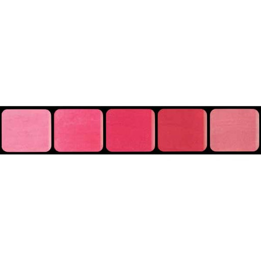 Graftobian Pink Lip Palette, 0.333 oz / 9.5 g