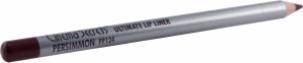 Cinema Secrets Ultimate Lip Pencil in Persimmon