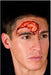 Woochie Brain Matter Latex Prosthetic Appliance