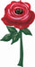 Painted Rose 62-Inch Foil Balloon