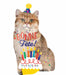 Bonne Fête Cat Shaped Foil Balloon, 33 Inch