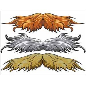 Stachetats Junior Einstein Stache Temporary Tattoo