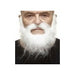 White Synthetic Moustache and Beard Costume Set