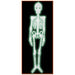 4 ft Glow-in-the-Dark Plastic Skeleton Halloween Decoration