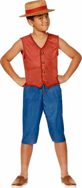 One Piece Luffy Child Costume, Large