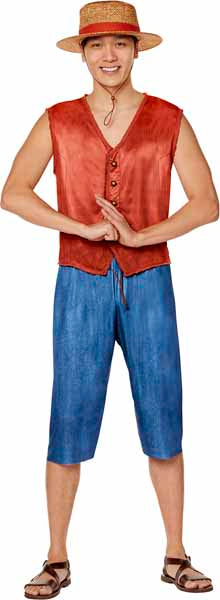 One Piece Luffy Adult Costume, Small
