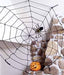 5 ft Black Rope Spider Web Halloween Decoration