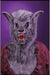 Ferocious Fangs Grey Werewolf Mask