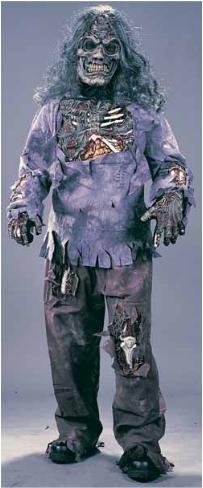 Boys' Complete Zombie Costume, Medium 8/10