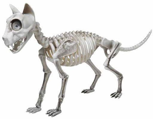 Décoration d'Halloween squelette de chat Skele-Cat de 20 pouces