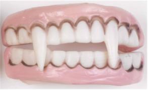 Vampire Character Teeth, Assorted Styles