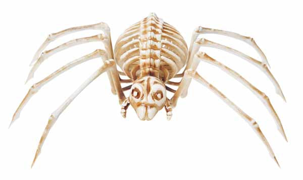 14-Inch Spider Skeleton Halloween Decoration