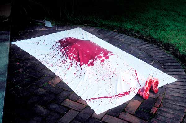 Bloody Scene Complete Halloween Decoration Kit