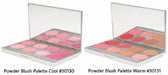Graftobian Powder Blush Palette - Warm