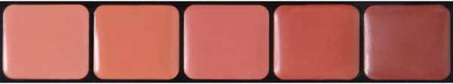 Graftobian HD Glamour Creme Blush Palette, 5 Colors