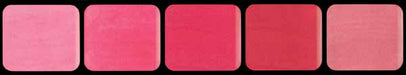 Graftobian Pink Lip Palette, 0.333 oz / 9.5 g