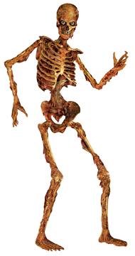 6 ft Jointed Skeleton Halloween Decoration