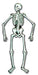 55-Inch Jointed Skeleton Halloween Decoration