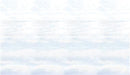 SNOWSCAPE BACKDROP (1PK) 4'X 30'