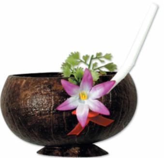 Coconut Cup, 10 oz