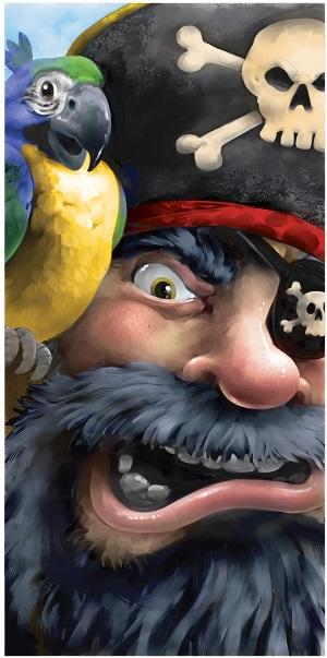 Pirate Door Cover, 30 Inches x 5 Feet