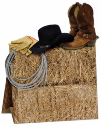 11-Inch 3D Western Centerpiece