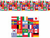 INTERNATIONAL FLAG POLY DECORATING