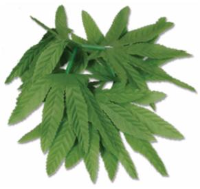 Tropical Fern Leaf Wristlet, 10 Inch